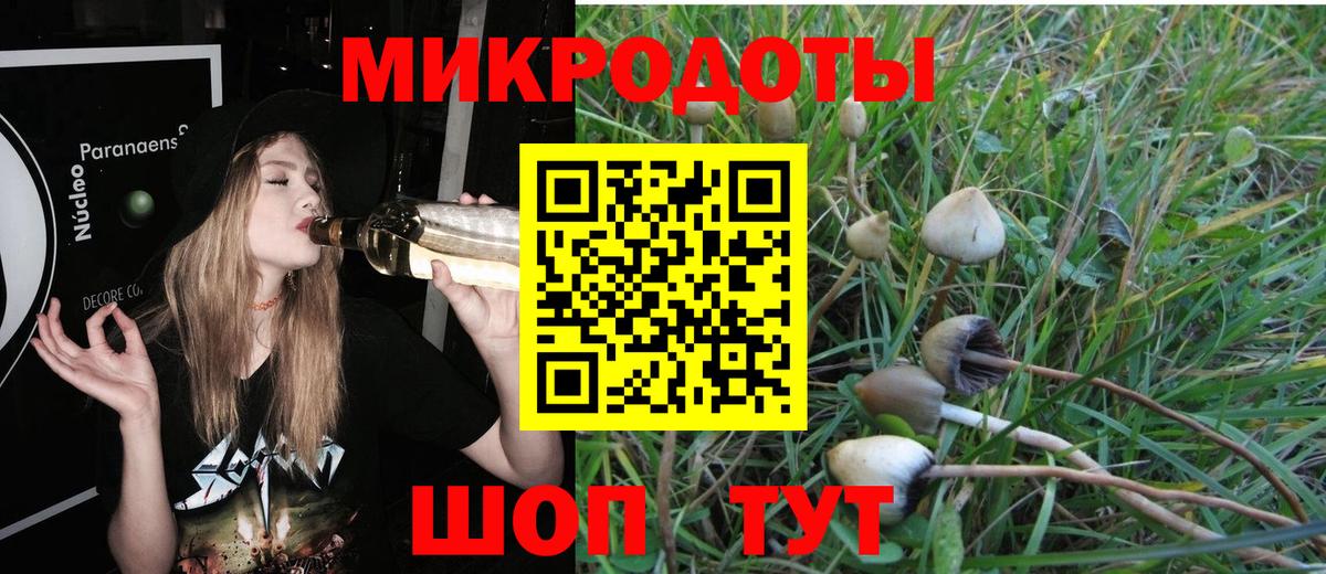 Псилоцибиновые грибы прущие грибы Можга