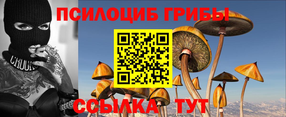 магазин  наркотиков  Галлюциногенные грибы Cubensis  Вход с VPN  Можга 